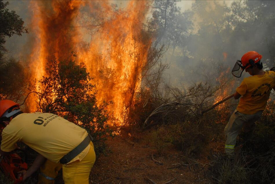 Yağışsızlık, aşırı sıcaklar ve insan faktörü! OGM uyardı: Yeni yangınlara dikkat! Yağışsızlık, aşırı sıcaklar ve insan faktörü! OGM uyardı: Yeni yangınlara dikkat! - 1. Resim