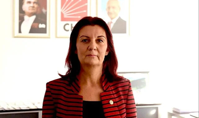 Lale Karabıyık kimdir, neden öldü, hastalığı neydi? Eski Bursa Milletvekili Lale Karabıyık hayatını kaybetti - 2. Resim