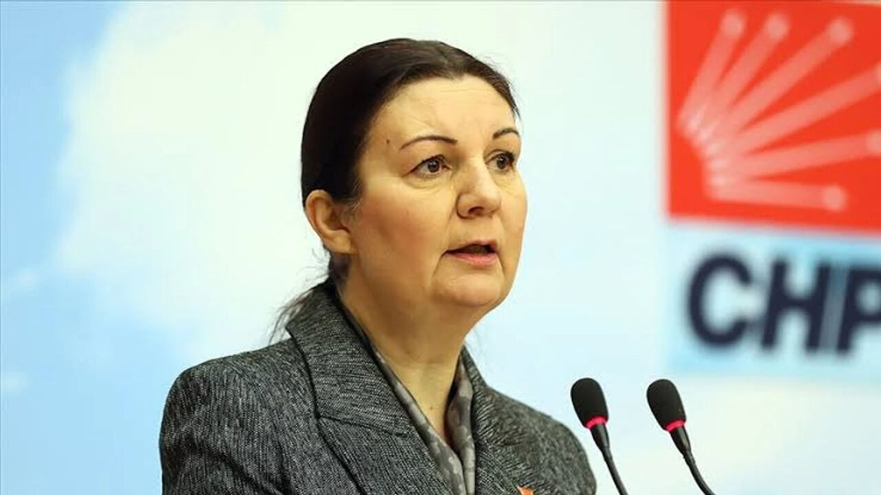 Lale Karabıyık kimdir, neden öldü, hastalığı neydi? Eski Bursa Milletvekili Lale Karabıyık hayatını kaybetti - 4. Resim