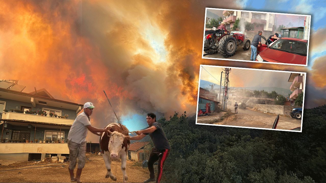  -Sakarya, Bilecik ve Uşak'ta alevler yükseldi!