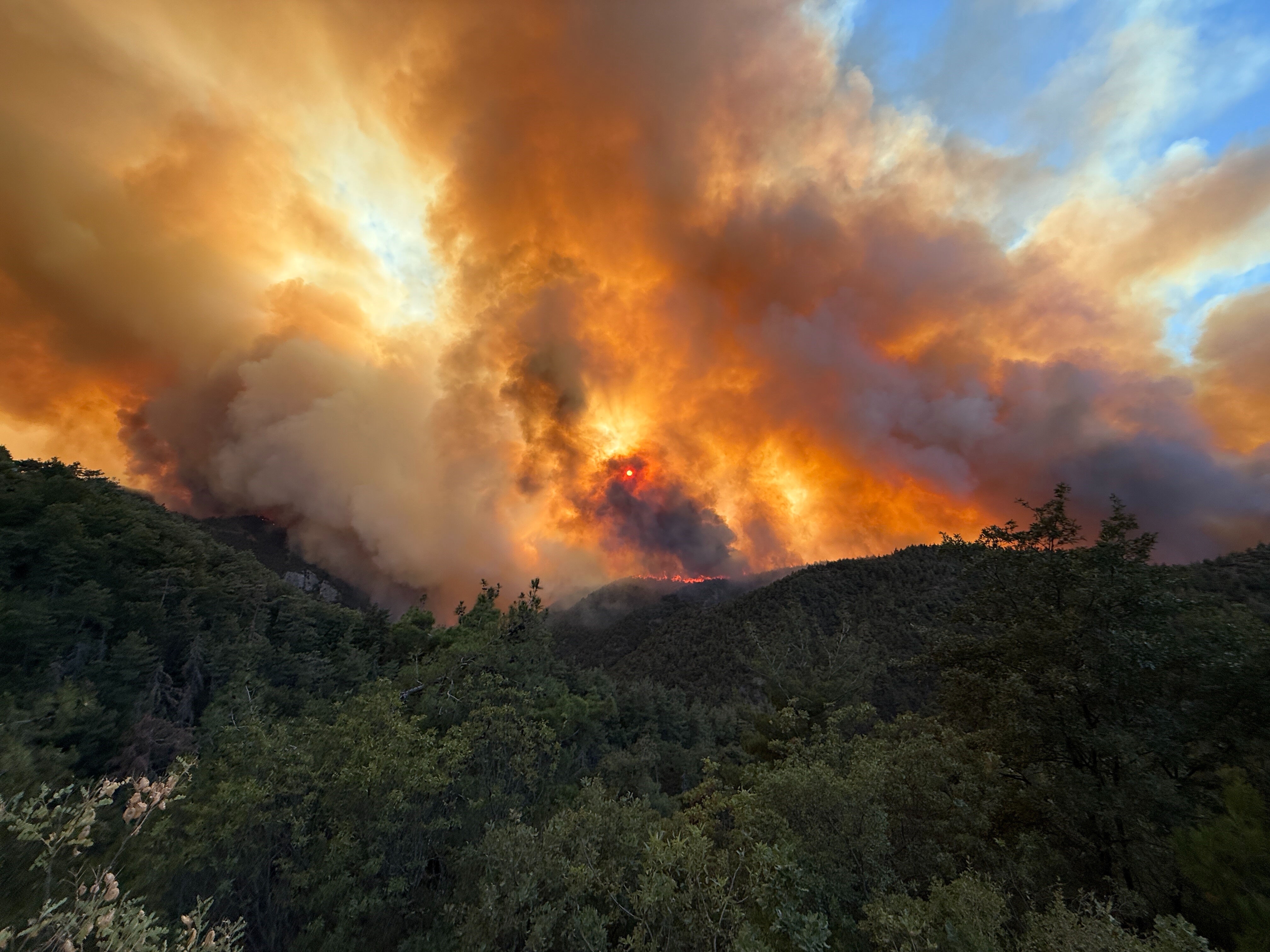 Sakarya, Bilecik ve Uşak'ta alevler yükseldi! Orman yangınında bir mahalle tahliye ediliyor - 1. Resim