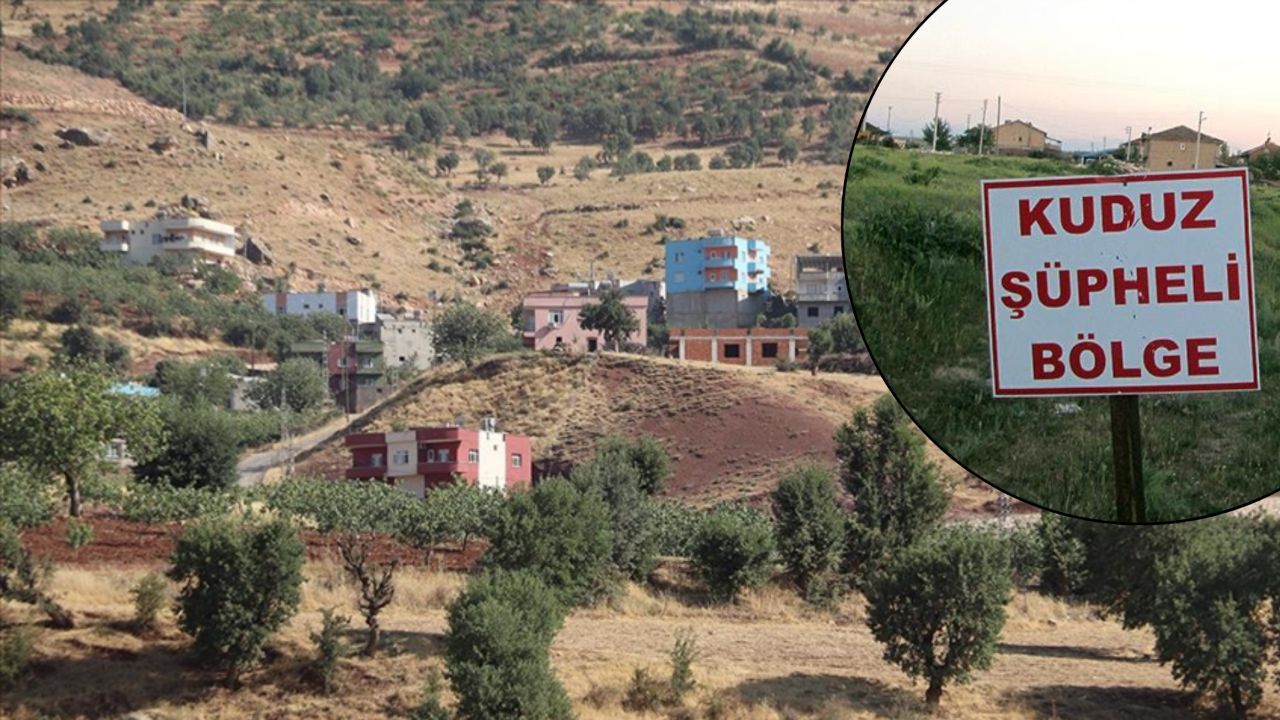Vatandaş tedirgin, bir köyü şüphe sardı! O hastalık nedeniyle inceleme başlatıldı