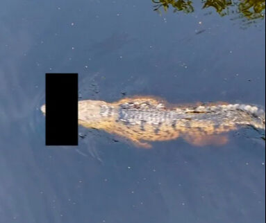 14 yaşındaki çocuğun feci ölümü! Ailesinin gözü önünde parçalara ayrıldı - 2. Resim