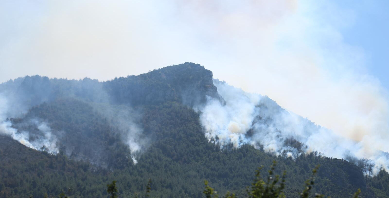 Bilecik'teki orman yangını 2 gündür söndürülemiyor! Alevler komşu kente sıçradı - 2. Resim