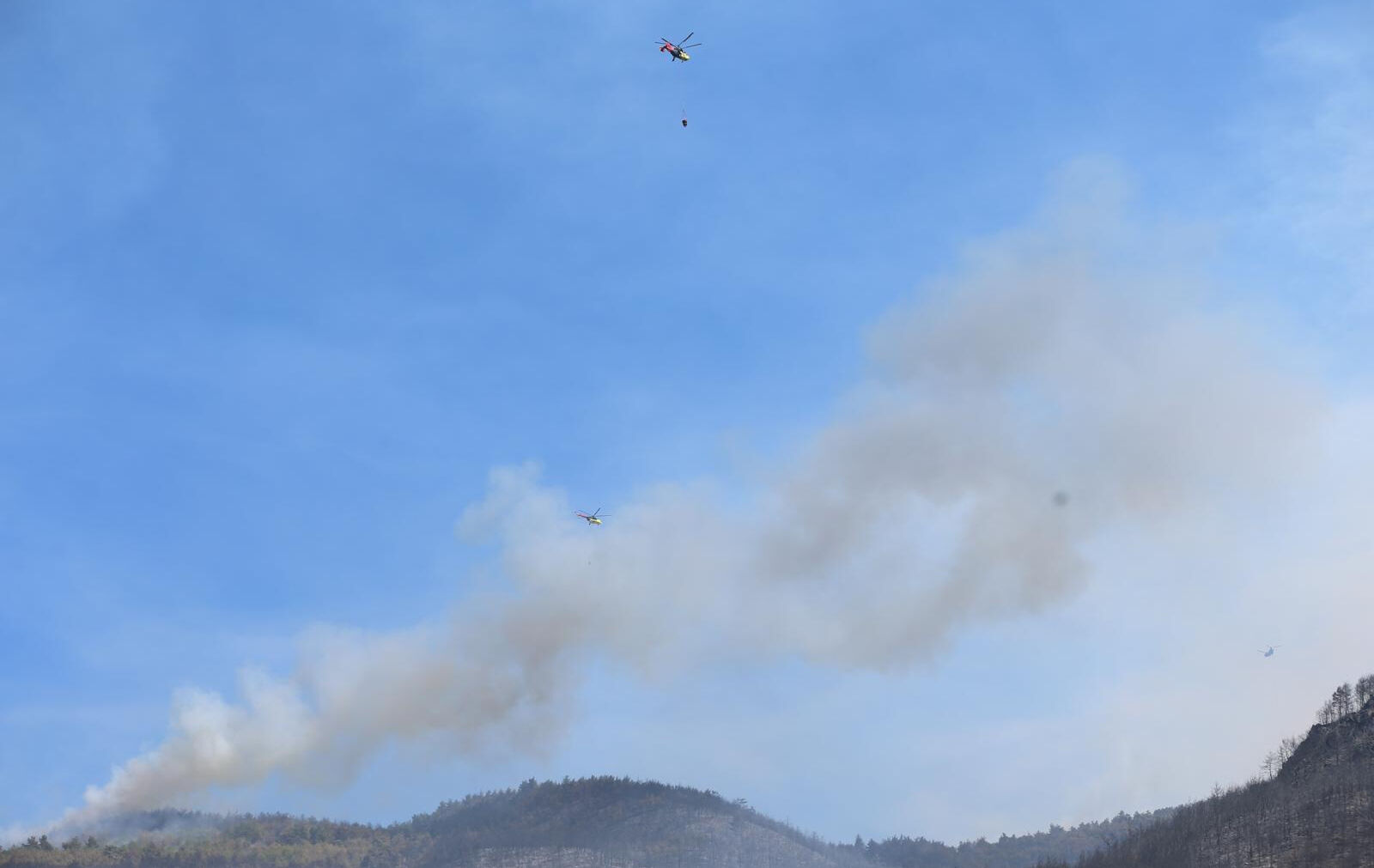 Bilecik'teki orman yangını 2 gündür söndürülemiyor! Alevler komşu kente sıçradı - 3. Resim