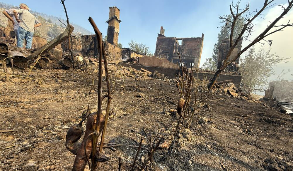 Felaketin boyutu gün ağarınca ortaya çıktı! Sakarya'daki orman yangını evleri kül etmiş - 1. Resim