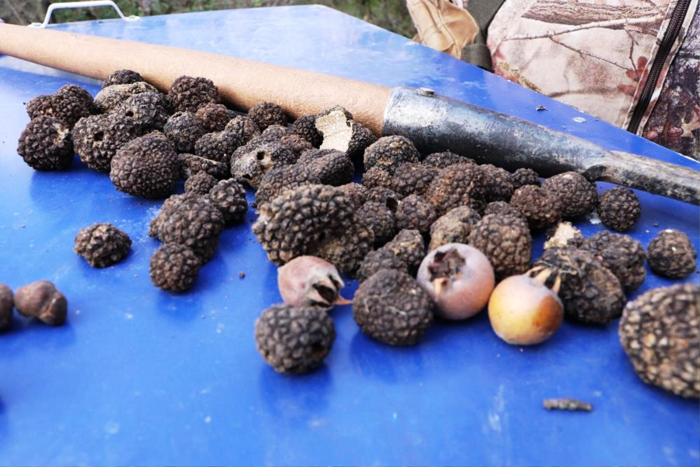 Köylerini terk etmeyenler kazandı: 3 üründen yılda 30 milyon lira kazandılar Köylerini terk etmeyenler kazandı: 3 üründen yılda 30 milyon lira kazandılar - 1. Resim