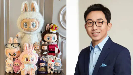 Labubu neden tehlikeli ve yasaklandı? - 1. Resim