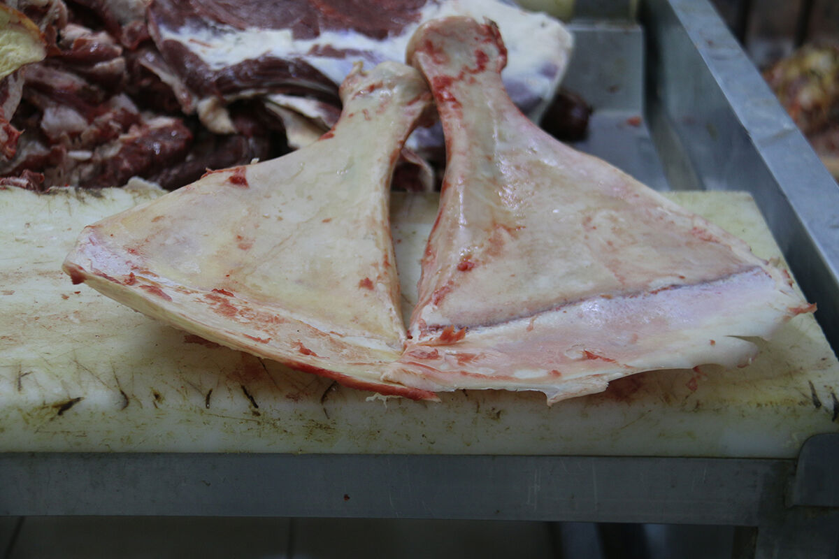 Selçuklu'dan kalma kasaplık geleneği: Kürek kemiklerini kırıp imha ediyorlar - 1. Resim