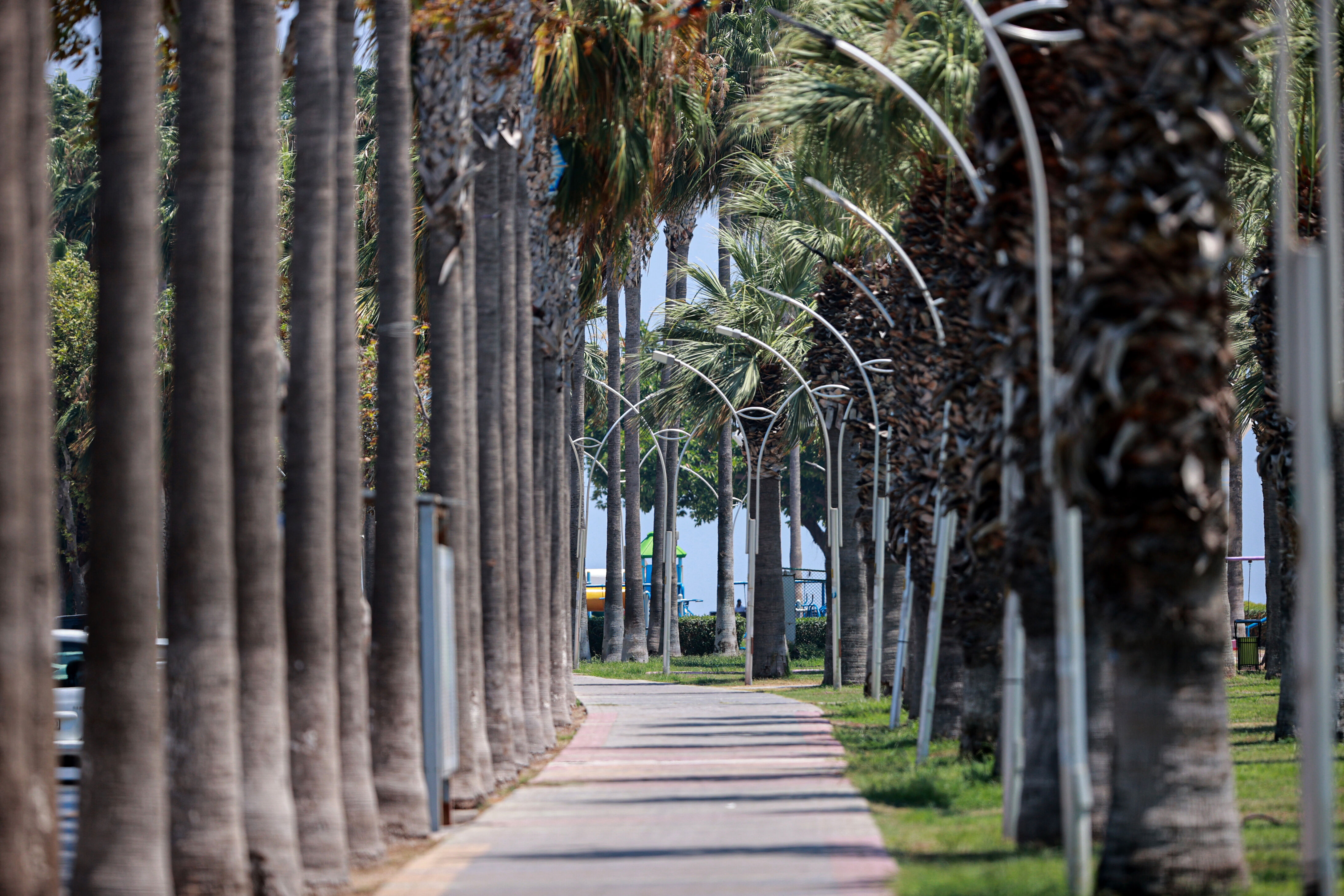 4 kent adeta kavruluyor! Termometreler 40 dereceyi geçti - 1. Resim