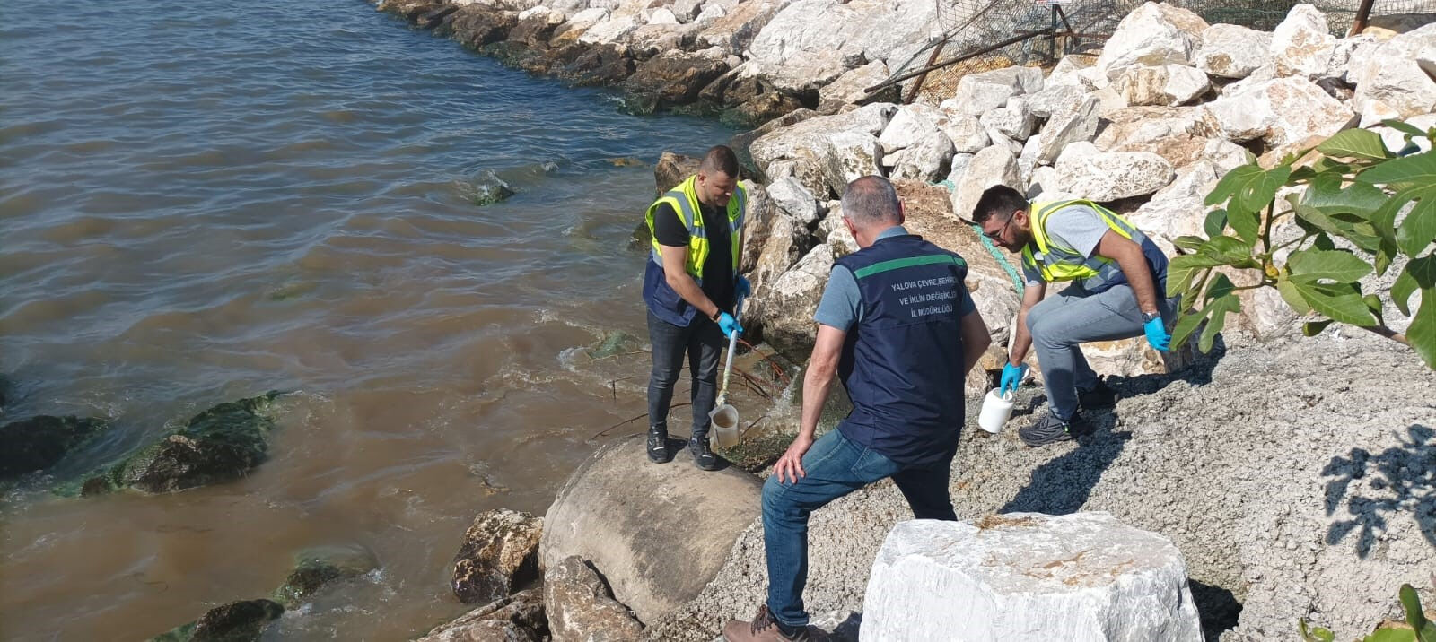 Denizi kirleten Yalova Belediyesi'ne 1 milyon 337 bin TL'lik ceza! Denizi kirleten Yalova Belediyesi'ne 1 milyon 337 bin TL'lik ceza! - 1. Resim