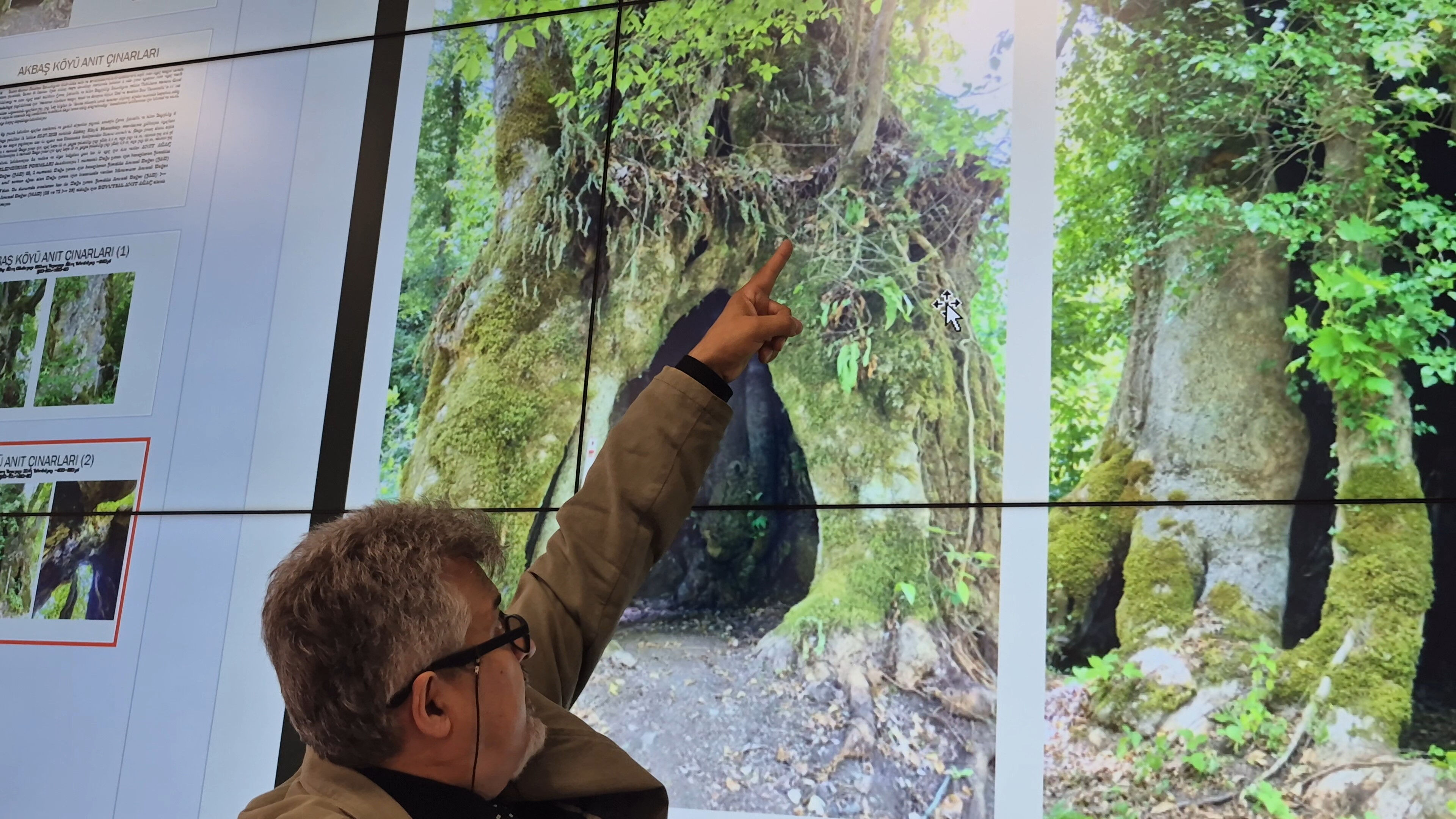 Bir köye çifte müjde! Tesadüfen bulundular: Biri 640, diğeri 540 yaşında - 2. Resim