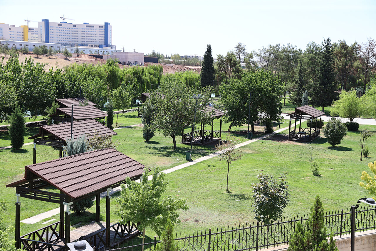 Fön rüzgarları başladı, sıcaklar dayanılmaz hale geldi... Termometreler patlama noktasında Fön rüzgarları başladı, sıcaklar dayanılmaz hale geldi... Termometreler patlama noktasında - 5. Resim