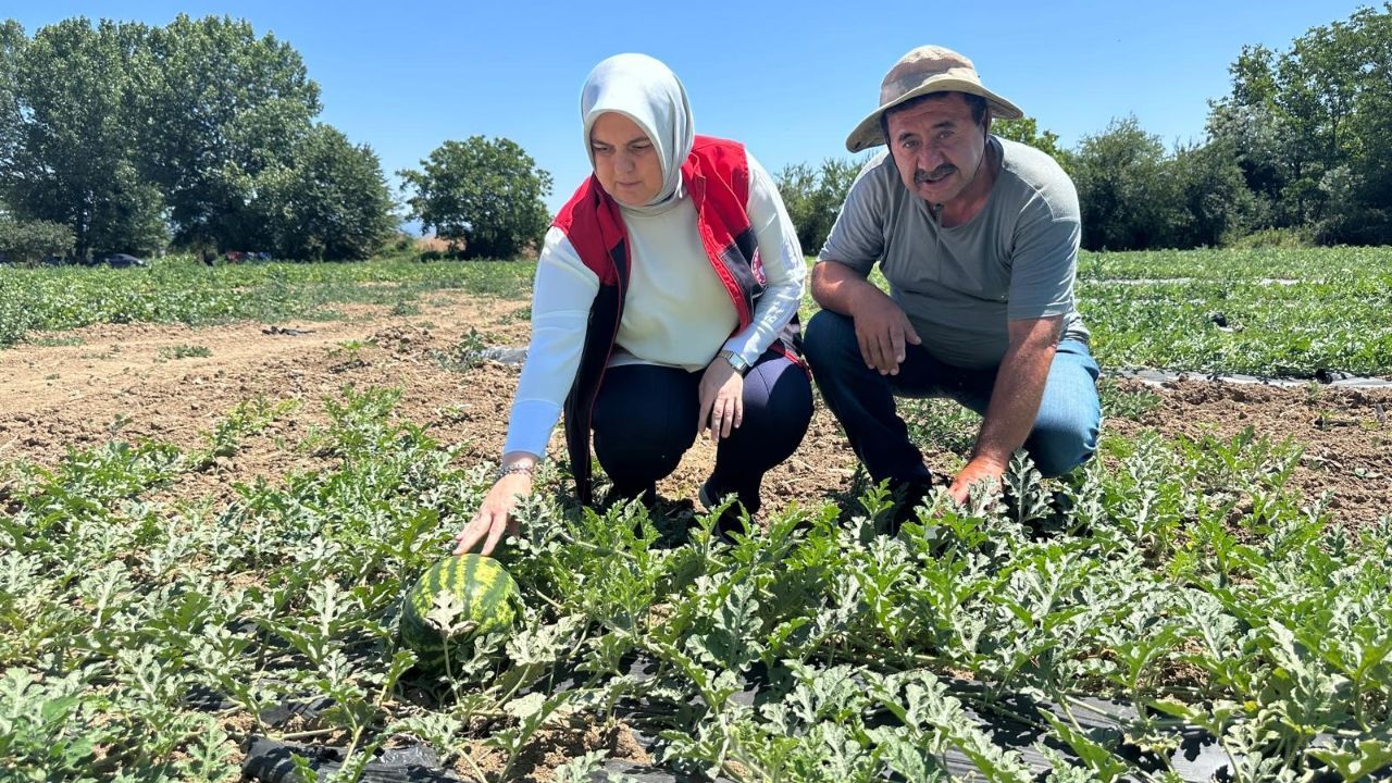 Hem kaliteli hem aromatik! Ülkenin dört bir yanına gönderiliyor, talep yoğun Hem kaliteli hem aromatik! Ülkenin dört bir yanına gönderiliyor, talep yoğun