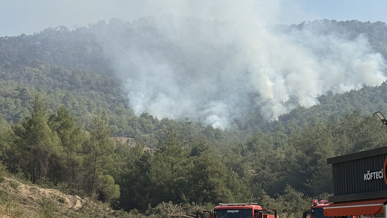 Sakarya, Bilecik, Eskişehir, Urla... Yangın yeniden alevlendi: Evler tahliye edildi, yol kapatıldı! Sakarya, Bilecik, Eskişehir, Urla... Bakan Yumaklı yangınlardaki son durumu açıkladı - 3. Resim
