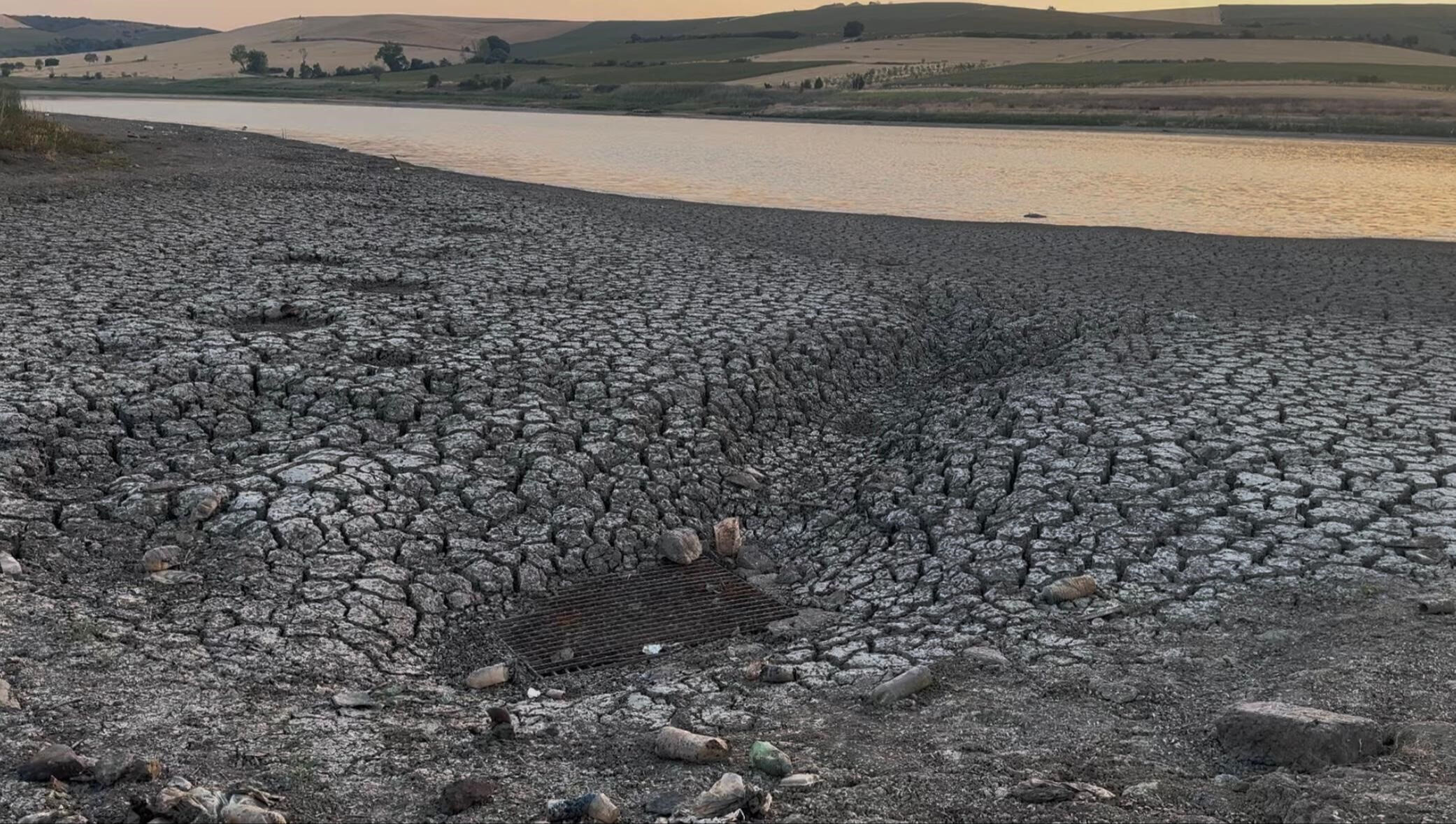Tekirdağ'da baraj kurudu, balıkların son hali yetkilileri harekete geçirdi Tekirdağ'da baraj kurudu, balıkların son hali yetkilileri harekete geçirdi - 1. Resim