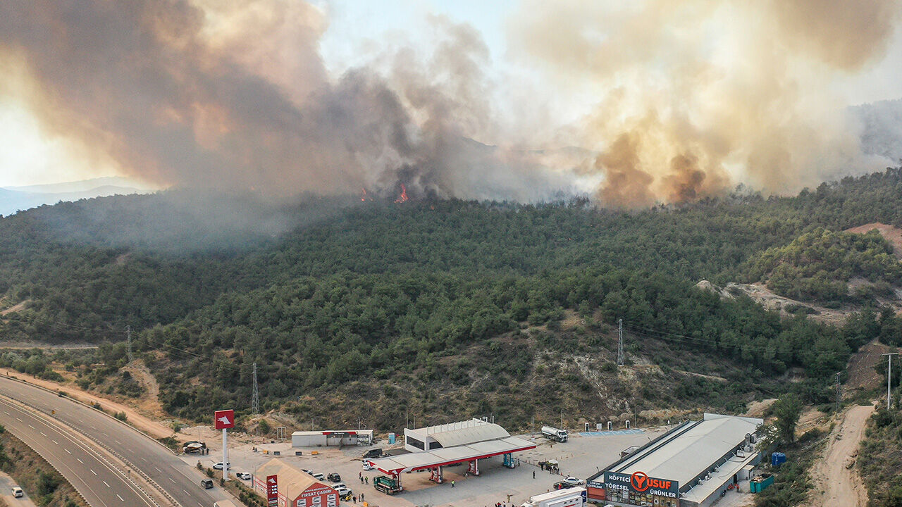 Türkiye alevlerle mücadele ediyor! Sakarya, İzmir, Eskişehir ve Karabük yangınlarında son durum Türkiye alevlerle mücadele ediyor! Bilecik, İzmir, Eskişehir ve Karabük yangınlarında son durum - 1. Resim