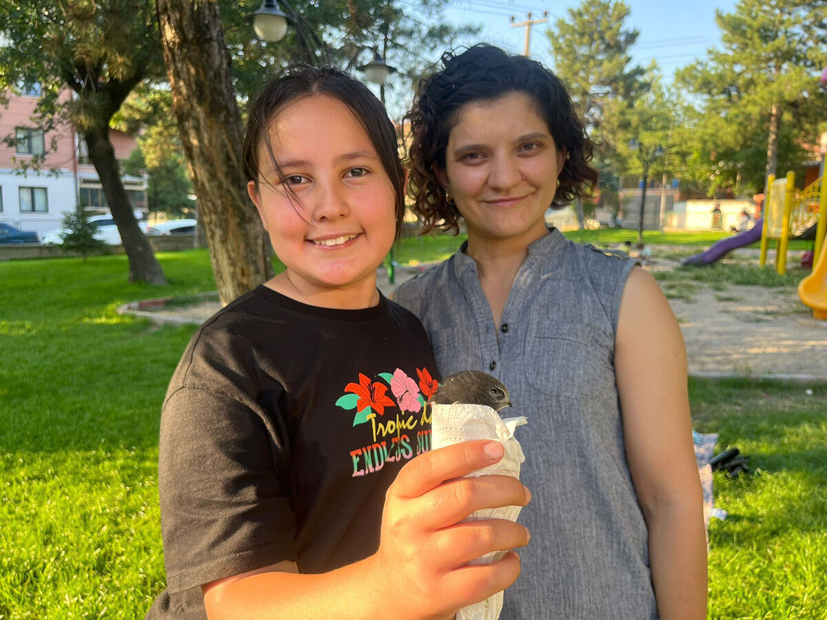 Adı Kur'an-ı Kerim'de geçiyor... Koruma altındaki kuşlar arasında... Çocuklar yaralı halde buldu Adı Kur'an-ı Kerim'de geçiyor... Koruma altındaki kuşlar arasında... Çocuklar yaralı halde buldu - 2. Resim