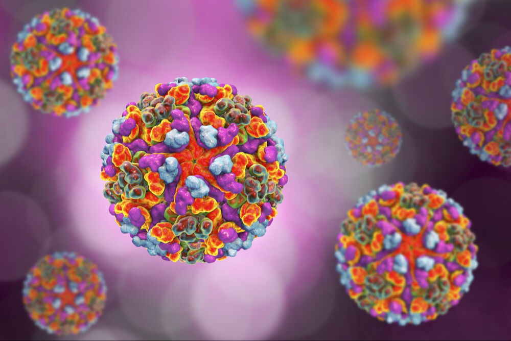 Chikungunya virus belirtileri neler, aşısı var mı, neyden ve nasıl bulaşır? Chikungunya virus belirtileri neler, aşısı var mı, neyden ve nasıl bulaşır? - 1. Resim