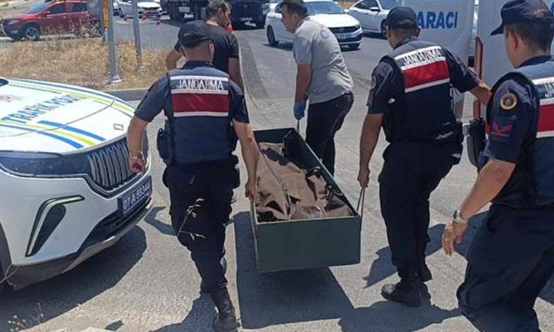 Acı kader… Kanseri yendi ama kazada can verdi Acı kader… Kanseri yendi ama kazada can verdi - 2. Resim