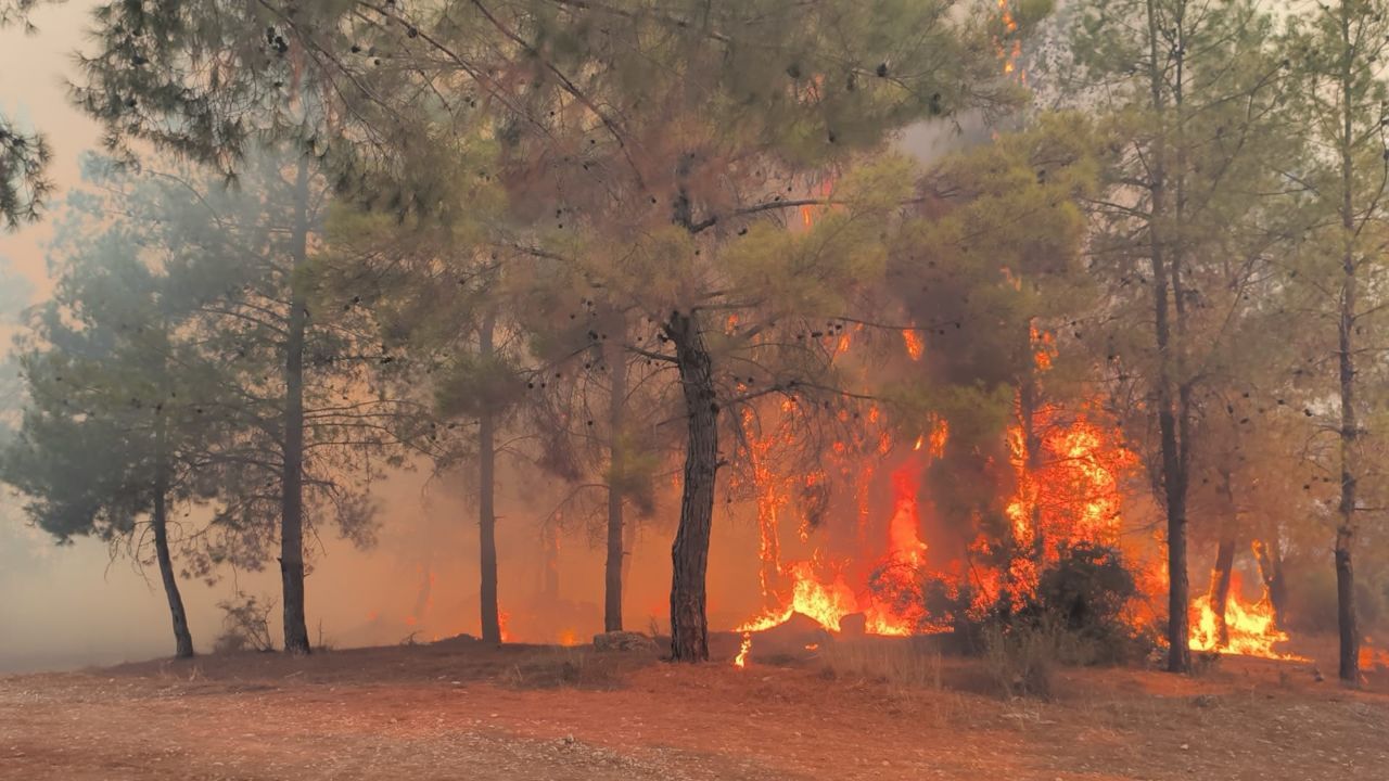 Antalya'da orman yangını! 3 ilçe alev alev, ekipler bölgede - Gündem