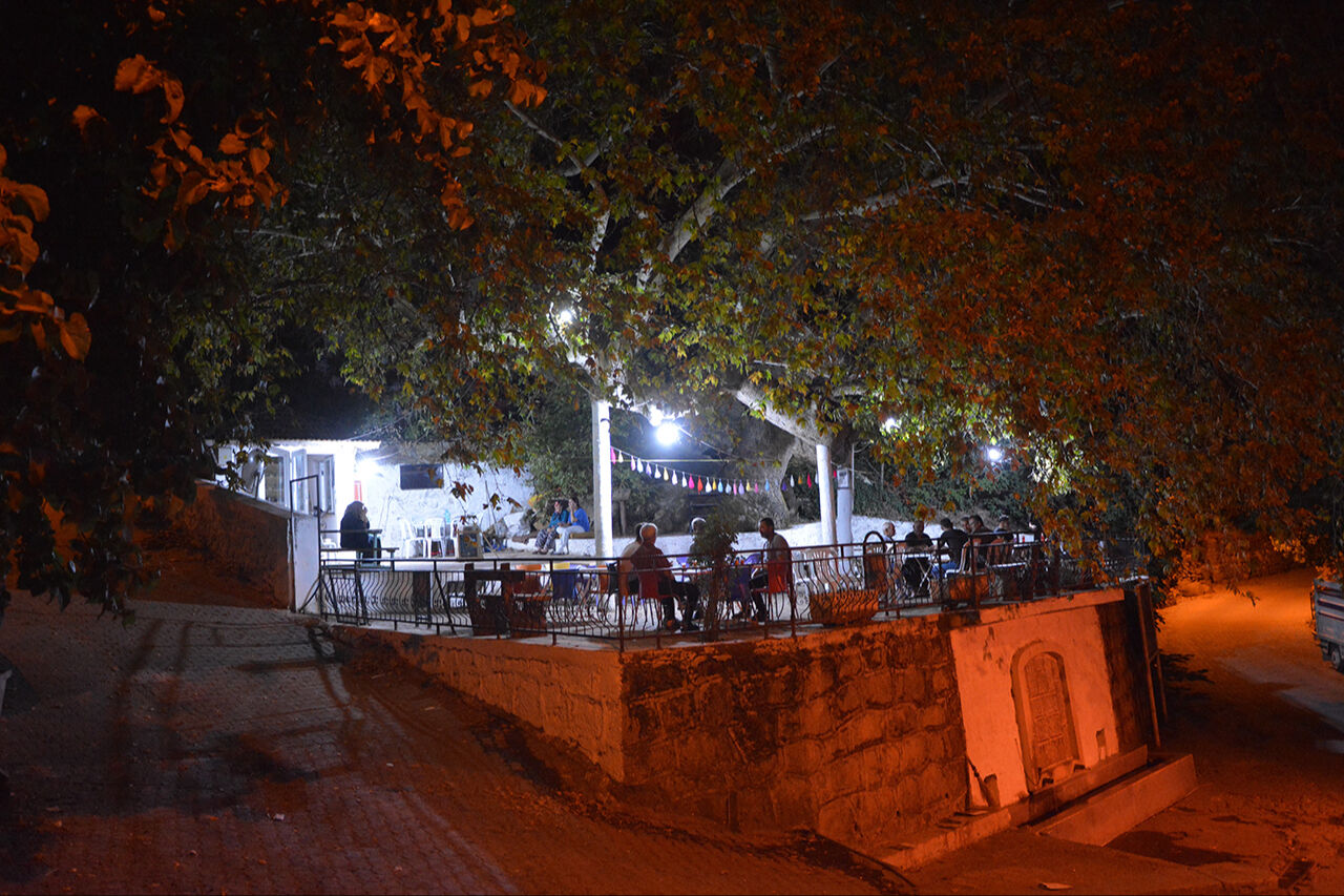 &Ccedil;ınar ağacının yaşını &ouml;ğrenen &ccedil;ay i&ccedil;meye gidiyor! Vazge&ccedil;ilmez mekanı oldu - 3. Resim