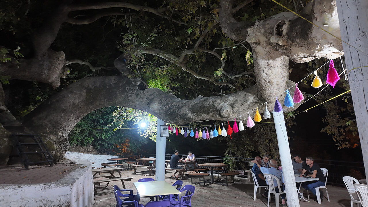 &Ccedil;ınar ağacının yaşını &ouml;ğrenen &ccedil;ay i&ccedil;meye gidiyor! Vazge&ccedil;ilmez mekanı oldu - 4. Resim