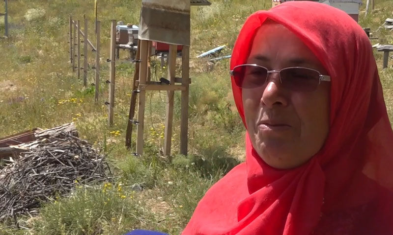Dedenin hediyesiyle başladı, 38 yıldır gelir kapısı oldu! ‘İşim tatil gibi’ Dedenin hediyesiyle başladı, 38 yıldır gelir kapısı oldu! ‘İşim tatil gibi’ - 5. Resim