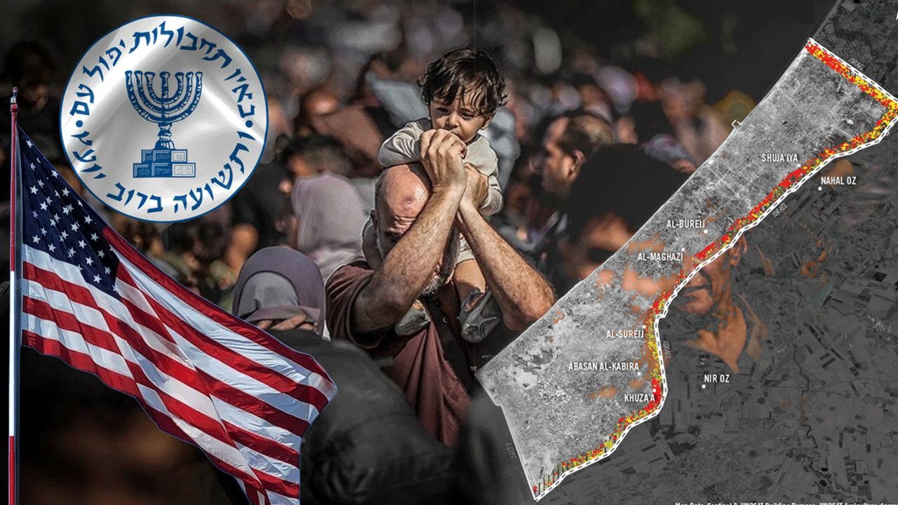 Dünya