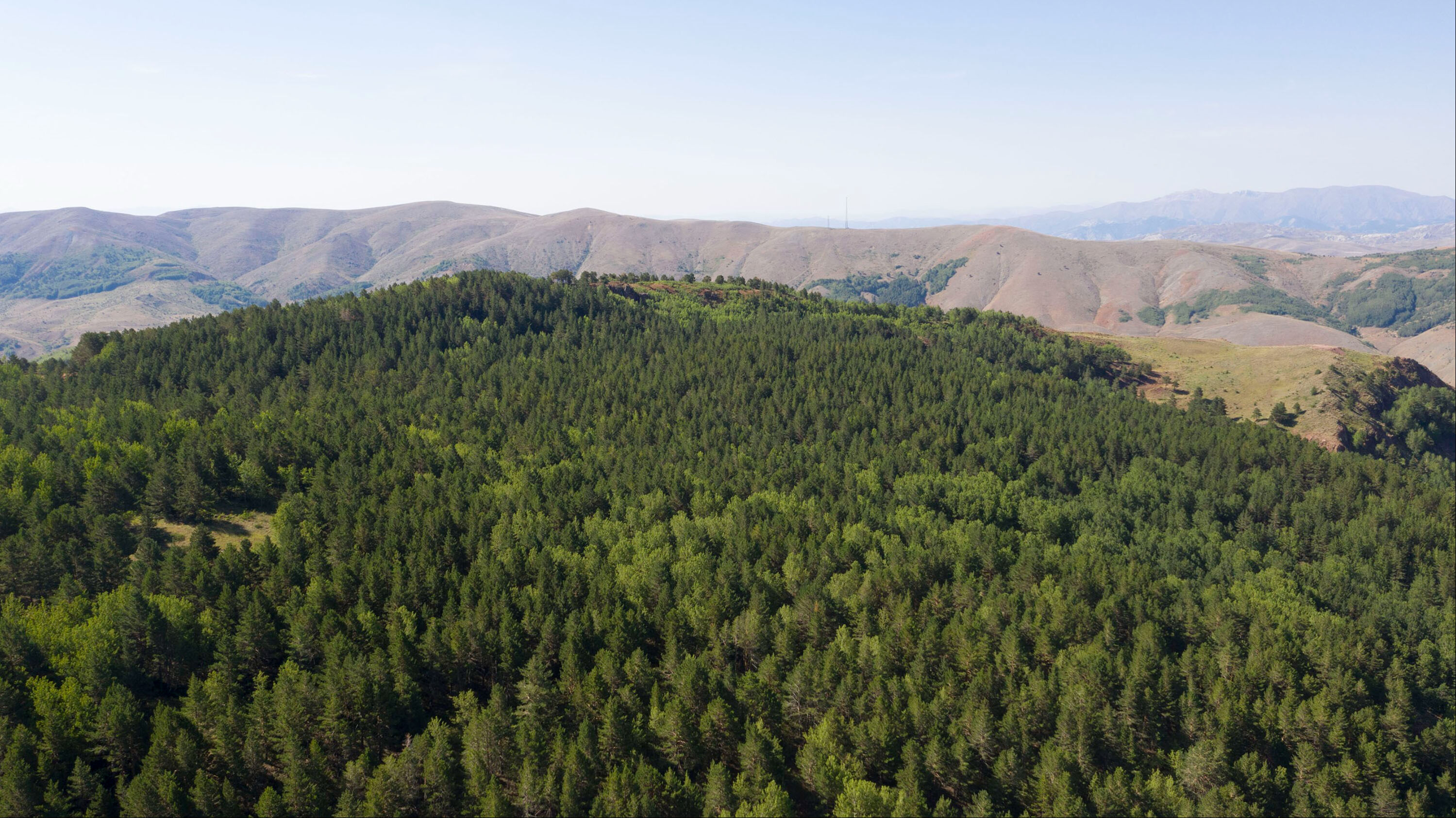 Sivas Valiliği duyurdu! Ormana girişler 1 Ekim'e kadar yasak Sivas Valiliği duyurdu! Ormana girişler 1 Ekim'e kadar yasak - 1. Resim