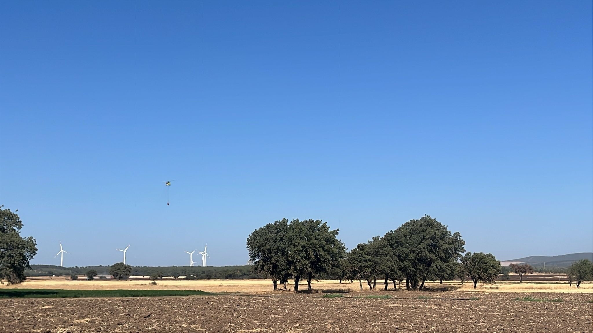 Ankara ve Çanakkale'de çıkan 2 yangın kontrol altına alındı Ankara ve Çanakkale'de çıkan 2 yangın kontrol altına alındı - 3. Resim