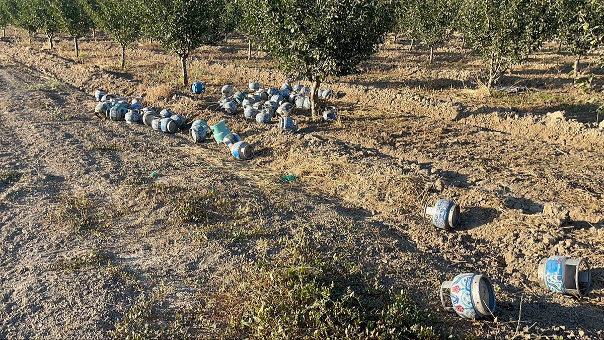 Köy boş, arazi dolu! Bilecik'te gören şaştı kaldı... Manzaranın sebebi sonradan ortaya çıktı Bilecik yangınında ilginç görüntü! Alevler yaklaşınca böyle tedbir aldılar - 3. Resim
