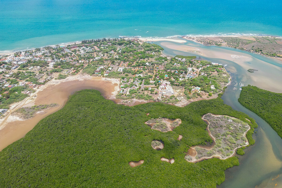 Bu orman 15 milyon kişiyi selden koruyor, her yıl milyarlarca dolarlık zararı engelliyor - 9. Resim