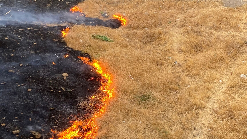 En az 10 metre olacak, son tarih 2 Ağustos! İstanbul için kritik yangın kararı En az 10 metre olacak, son tarih 2 Ağustos! İstanbul için kritik yangın kararı - 2. Resim