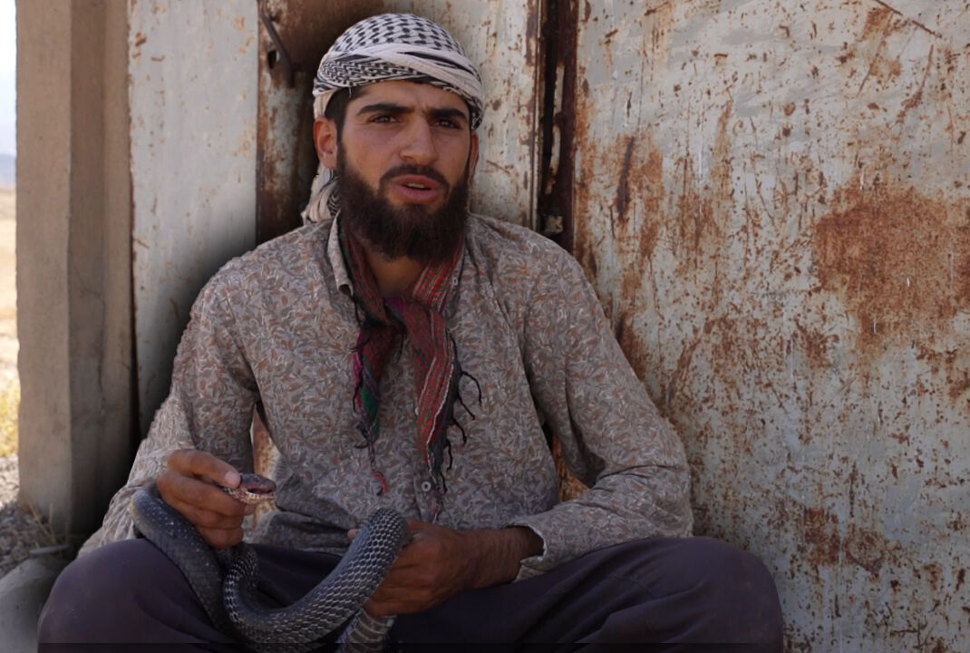 En zehirli yılanlar onun için çocuk oyuncağı... 26 yaşında yaptıkları şaşkına çeviriyor - 2. Resim