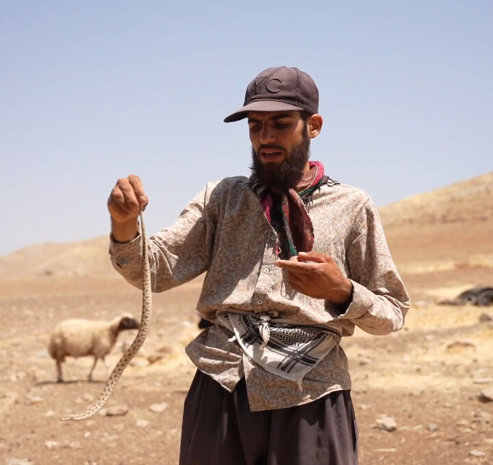 En zehirli yılanlar onun için çocuk oyuncağı... 26 yaşında yaptıkları şaşkına çeviriyor - 4. Resim