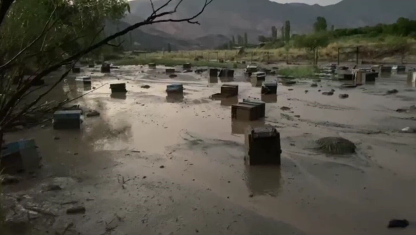 Her yer kavrulurken orada sel oldu, üretici büyük zarara girdi! Tüm arıları telef oldu, yardım istediler - 1. Resim