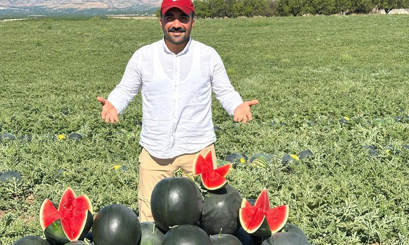 Umut tarlada yeşerdi! Kayısı zarar gördü, başka ürün yüz güldürüyor… Kilosu 3 liraya düştü Umut tarlada yeşerdi! Kayısı zarar gördü, başka ürün yüz güldürüyor… Kilosu 3 liraya düştü - 2. Resim