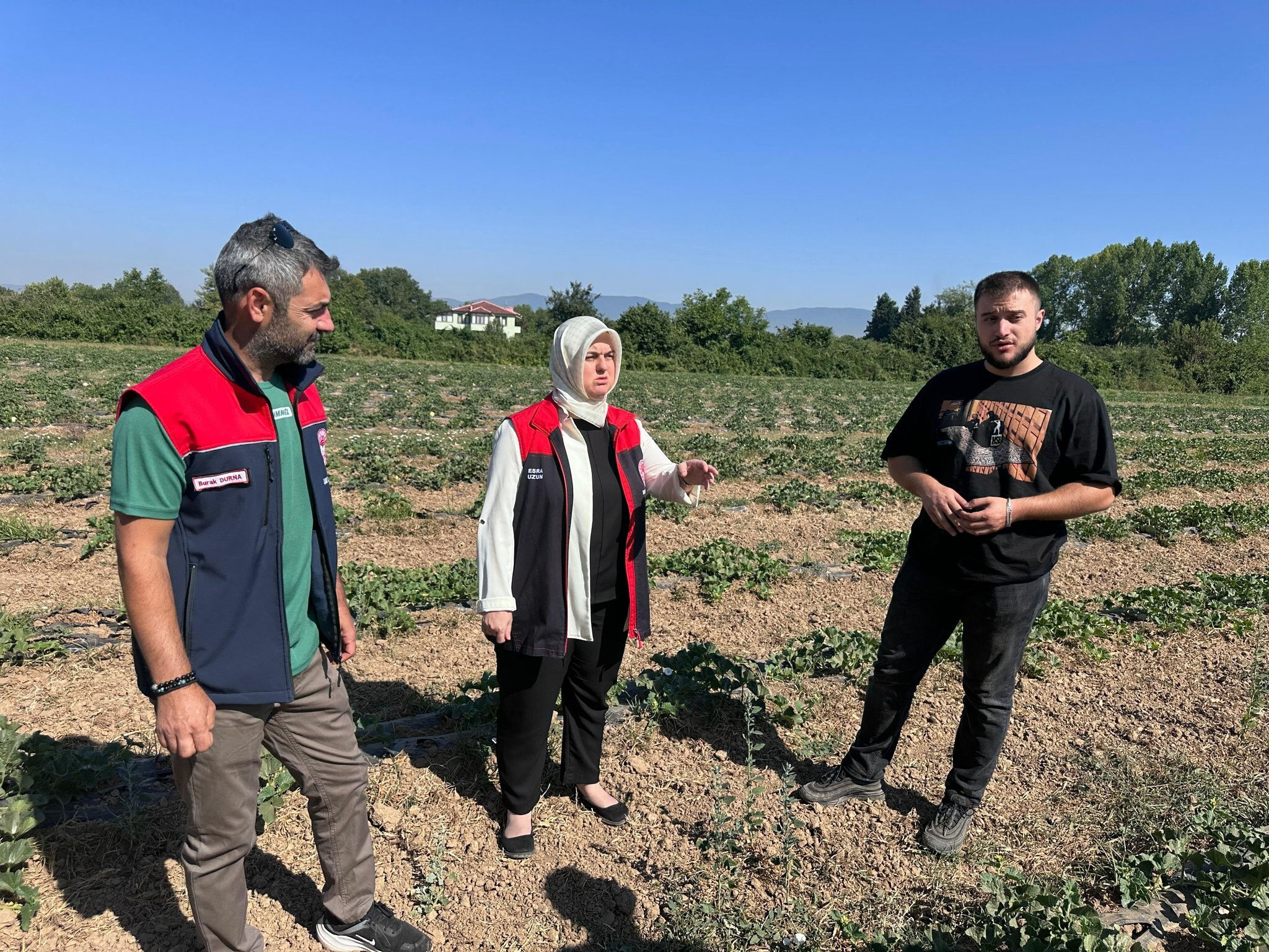 25 dekarlık alanda 3 çeşit yetiştirmesi yetkililerin dikkatini çekti! Üretimiyle umut veren genç girişimci 25 dekarlık alanda 3 çeşit yetiştirmesi yetkililerin dikkatini çekti! Üretimiyle umut veren genç girişimci - 1. Resim