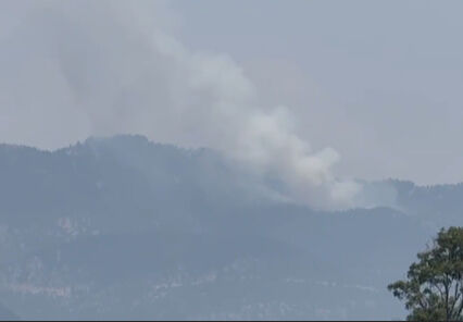 Bir yangın da Osmaniye'de çıktı! Havadan ve karadan müdahale başladı - 1. Resim