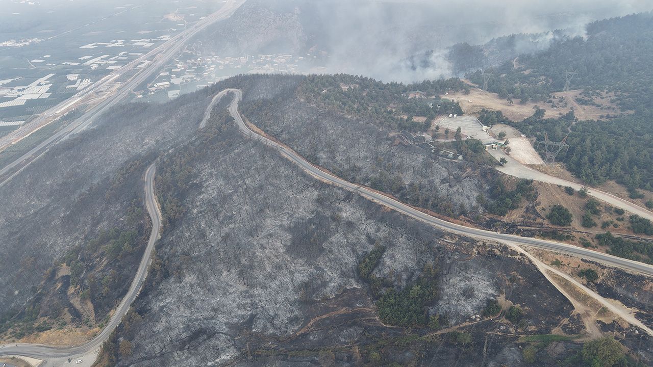 Bursa alev alev yandı! Felaketin boyutu gün ağarınca ortaya çıktı