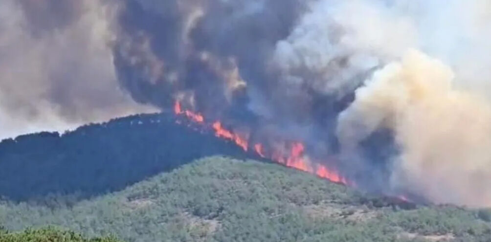 Bursa Harmancık yangınında son durum ne? - 1. Resim