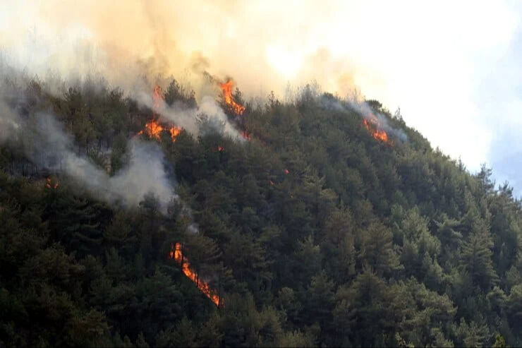 Karabük orman yangını son dakika: Yangın neden çıktı, söndürüldü mü? Karabük yangın son dakika: Yangın neden çıktı, söndürüldü mü? - 1. Resim