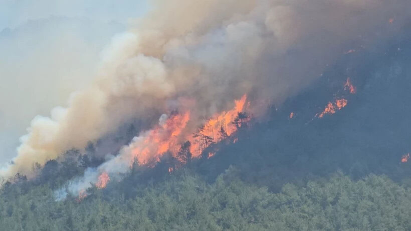 Karabük orman yangını son dakika: Yangın neden çıktı, söndürüldü mü? Karabük yangın son dakika: Yangın neden çıktı, söndürüldü mü? - 2. Resim