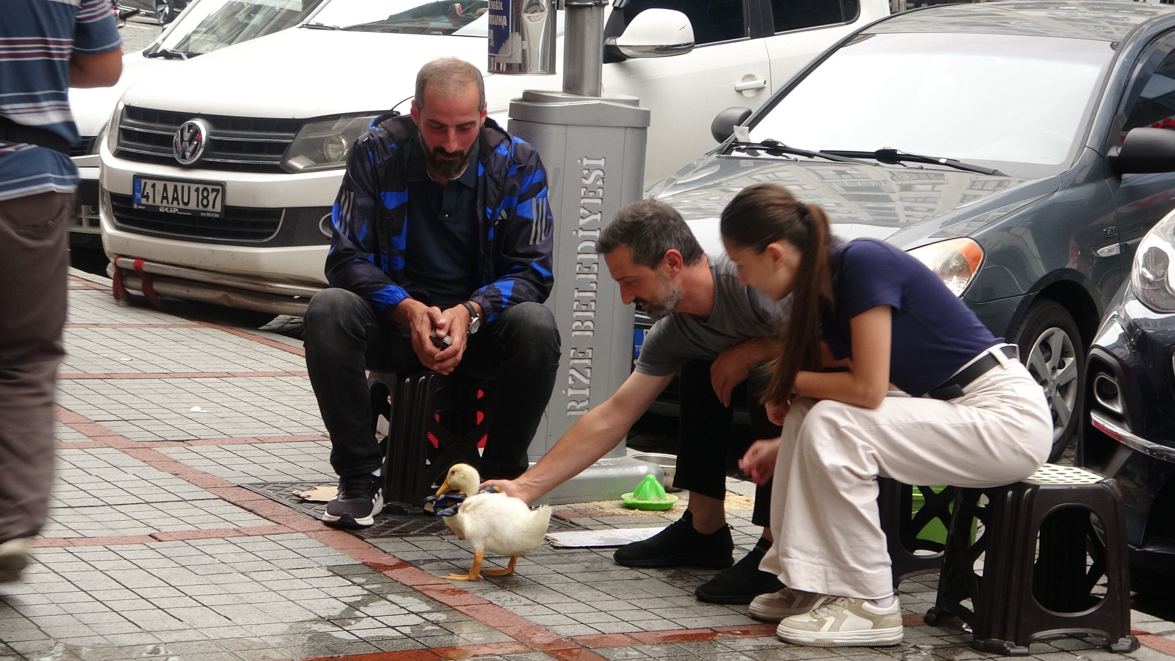 Onu gören bir daha bakıyor, bir kentin maskotu oldu! Önce şaşırıp sonra seviyorlar - 3. Resim