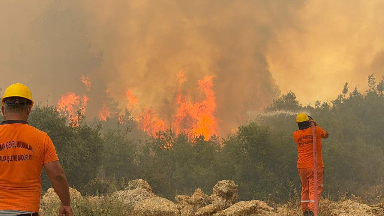 Orman yangınları neden çıkıyor, hangi illerde yangın çıktı? 2025’te bugüne dek 3.242 yangın meydana geldi - 4. Resim