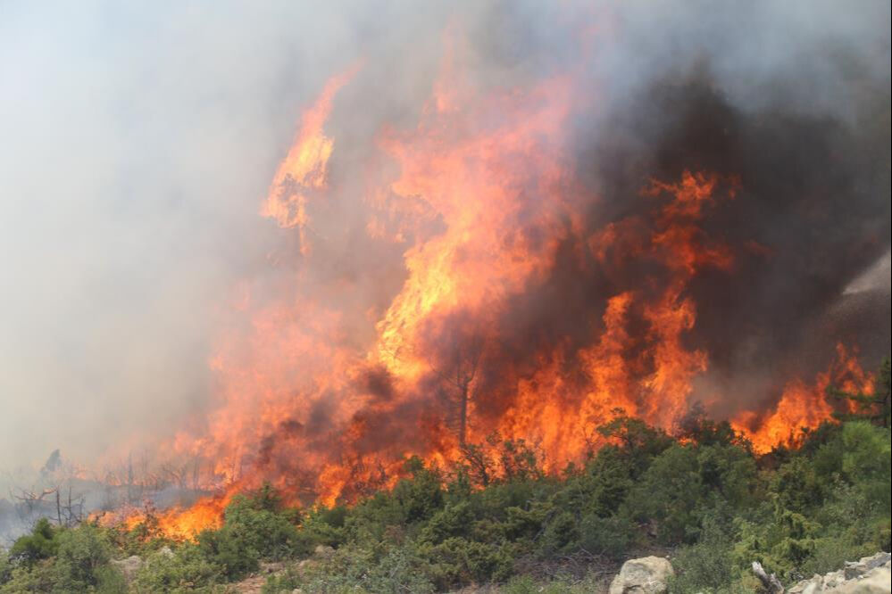 4 ilde orman yangını! Gözaltılar var, tahliyeler sürüyor... İşte son durum - 1. Resim