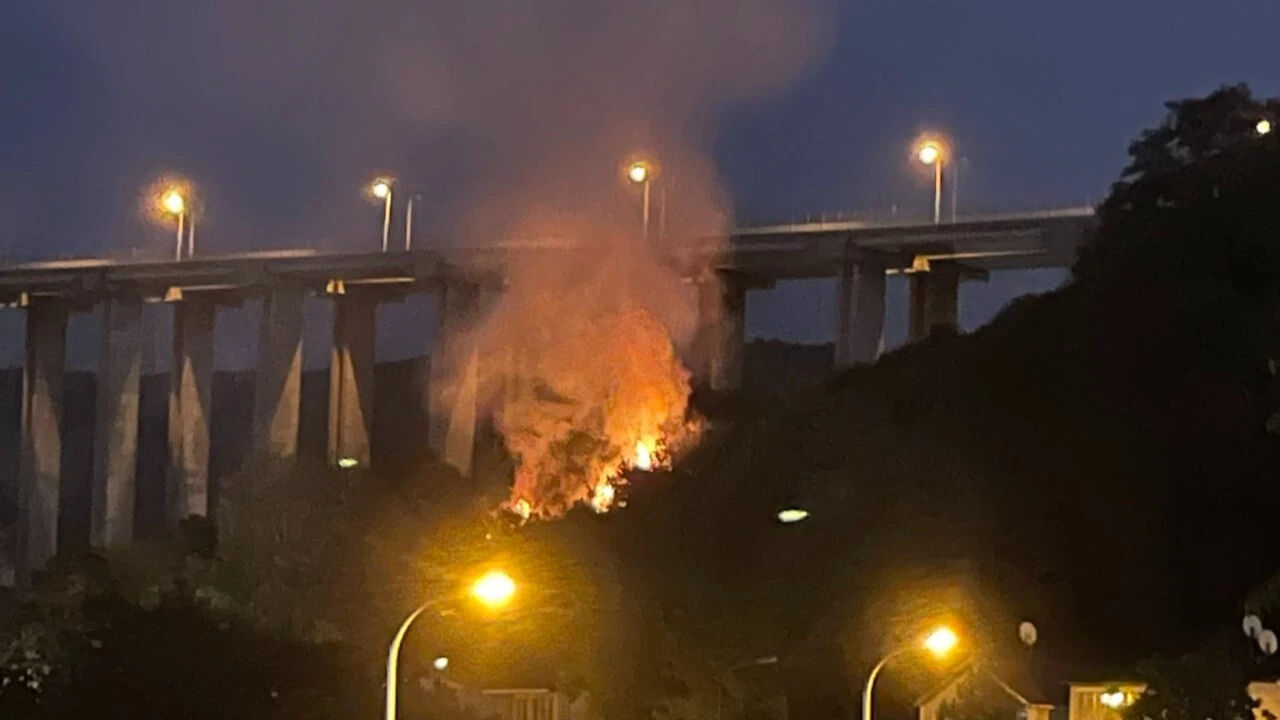 Beykoz yangın son dakika: İstanbul Beykoz yangını neden çıktı, söndürüldü mü? Beykoz yangın son dakika: İstanbul Beykoz yangını neden çıktı, söndürüldü mü? - 2. Resim