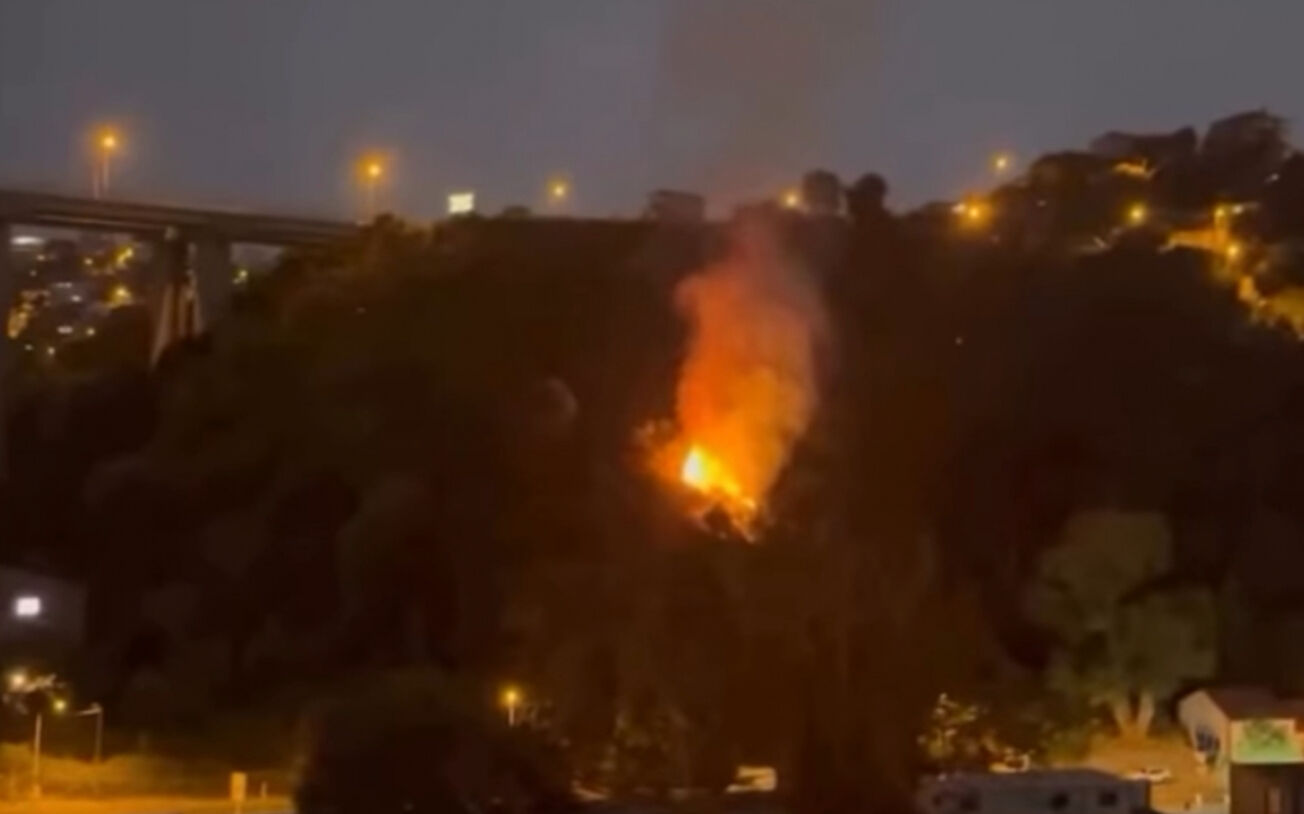 Beykoz yangın son dakika: İstanbul Beykoz yangını neden çıktı, söndürüldü mü? Beykoz yangın son dakika: İstanbul Beykoz yangını neden çıktı, söndürüldü mü? - 1. Resim