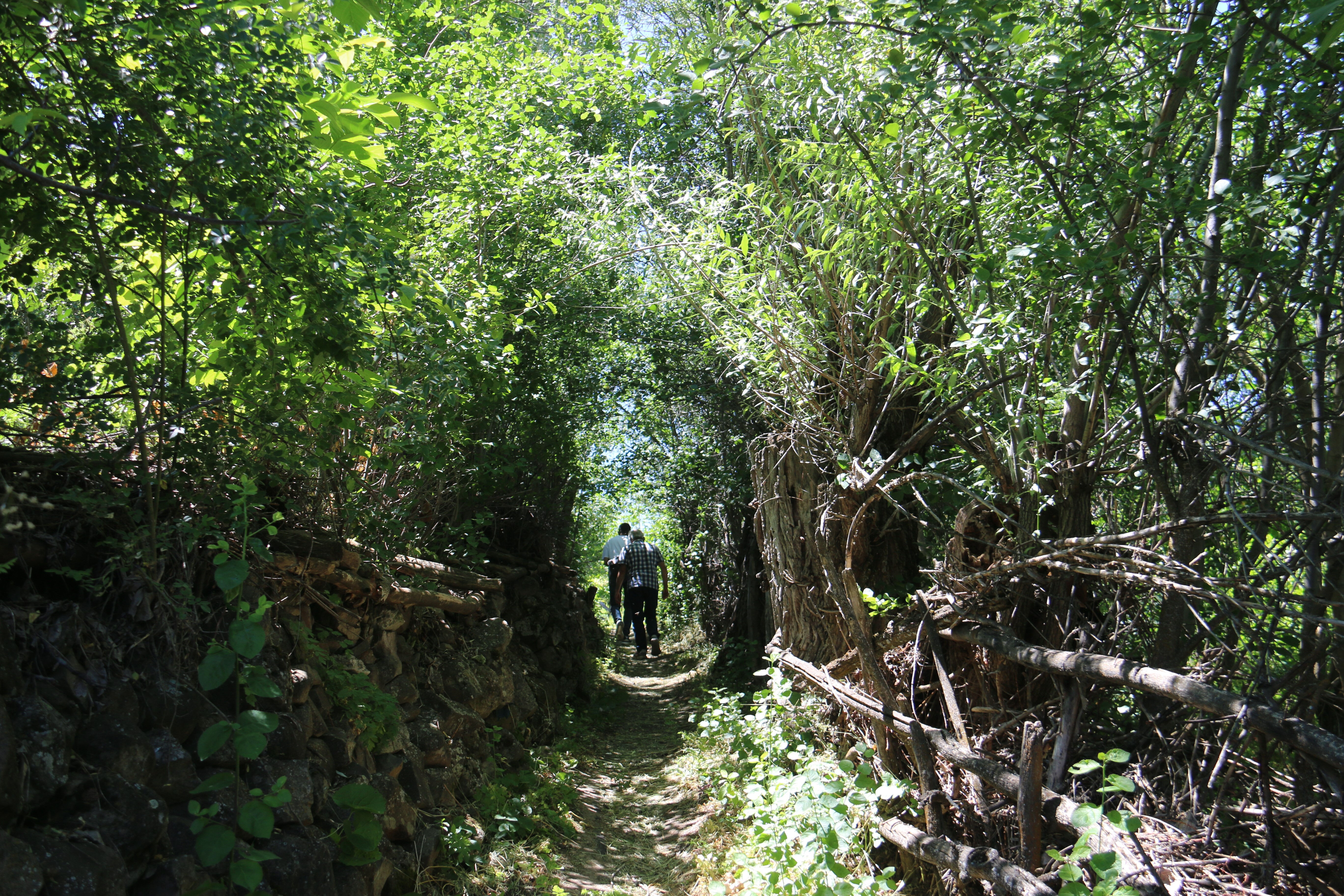 Bozkırın ortasında saklı bir hazine! Adeta vahayı andırıyor, gören hayran kalıyor - 2. Resim